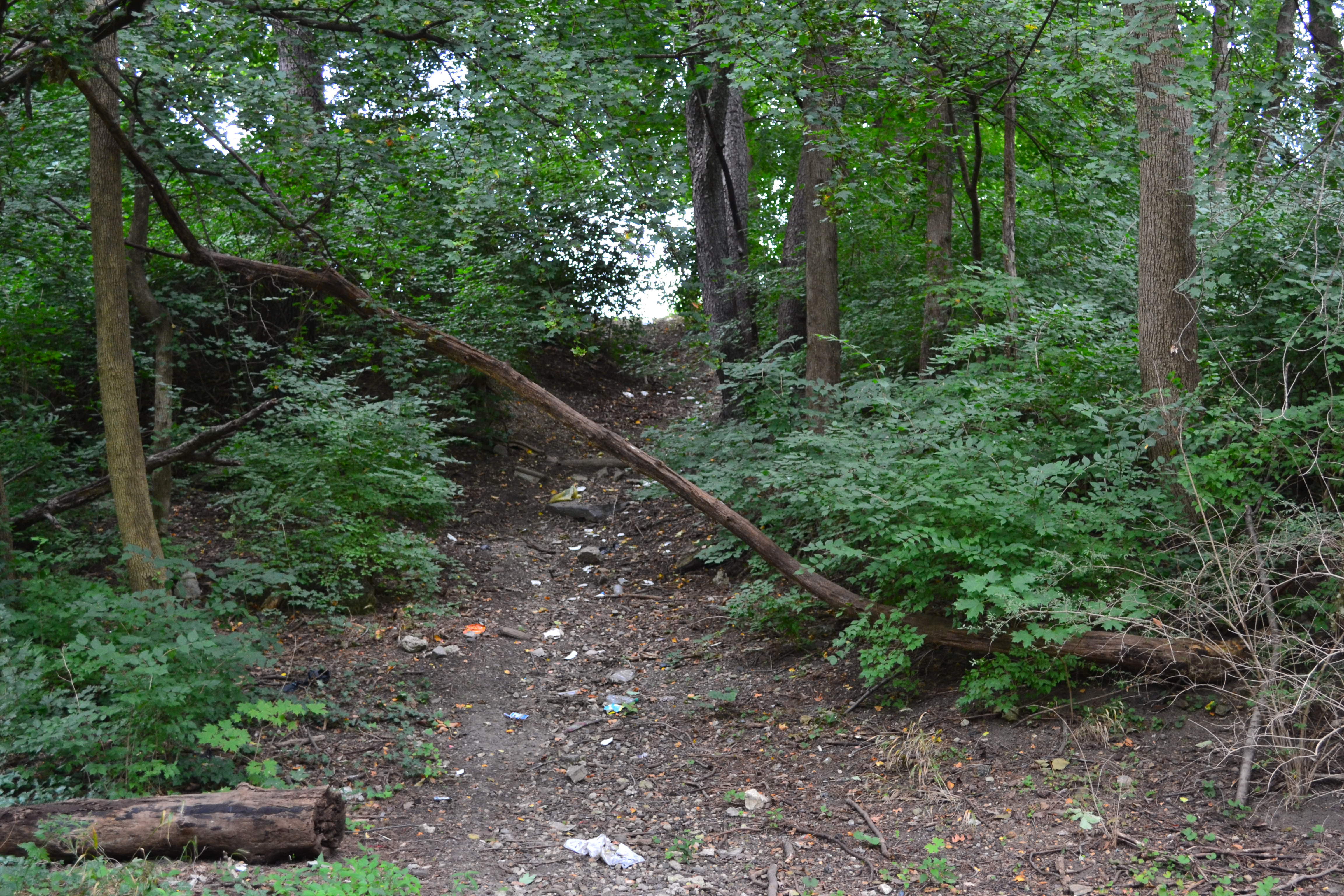 Some unofficial access points like the paved Cobbs Creek Trail with unpaved, off road trails