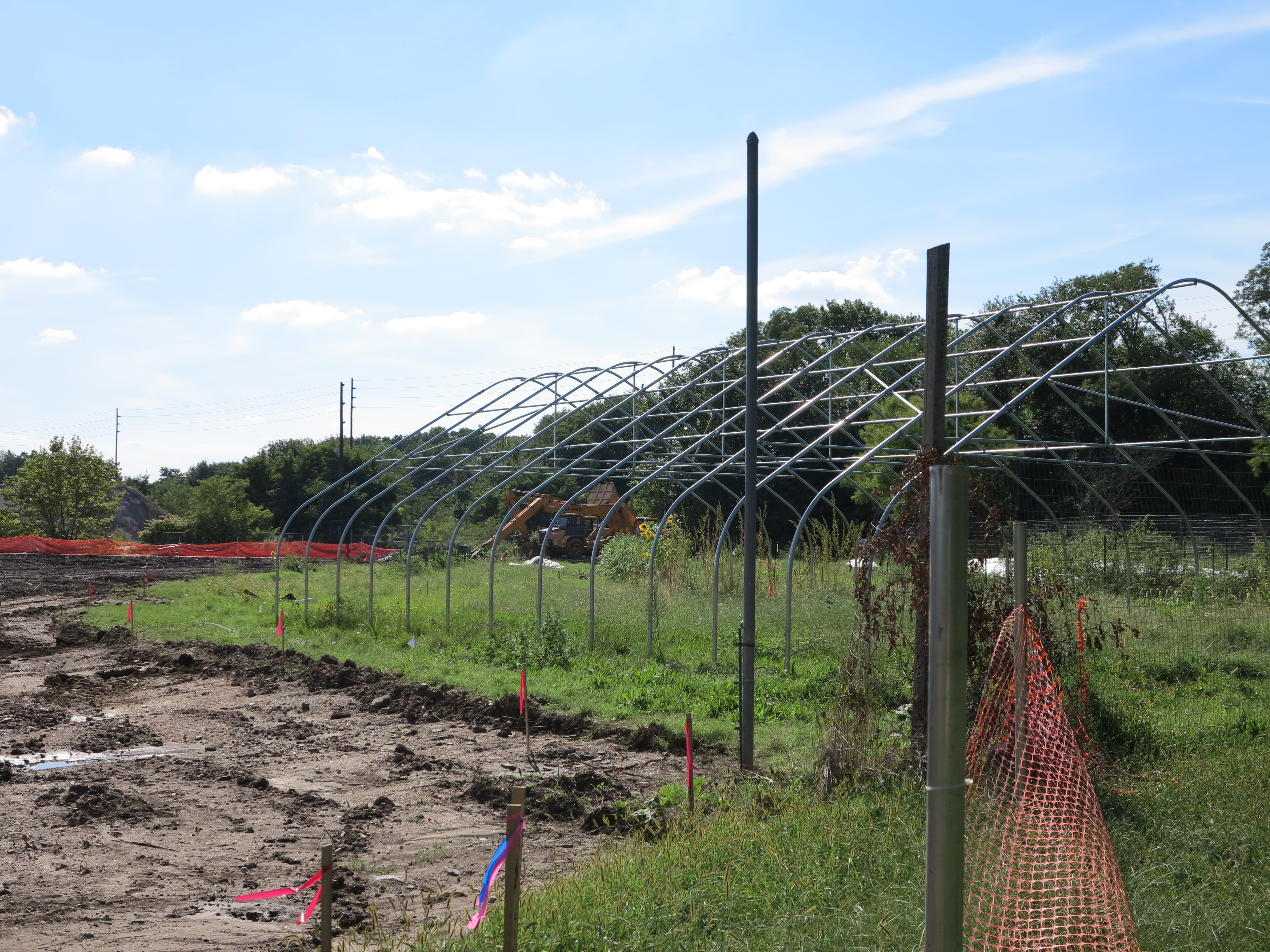 The outermost wetlands planting zone will contain trees and shrubs with edible parts to complement the adjacent community farm