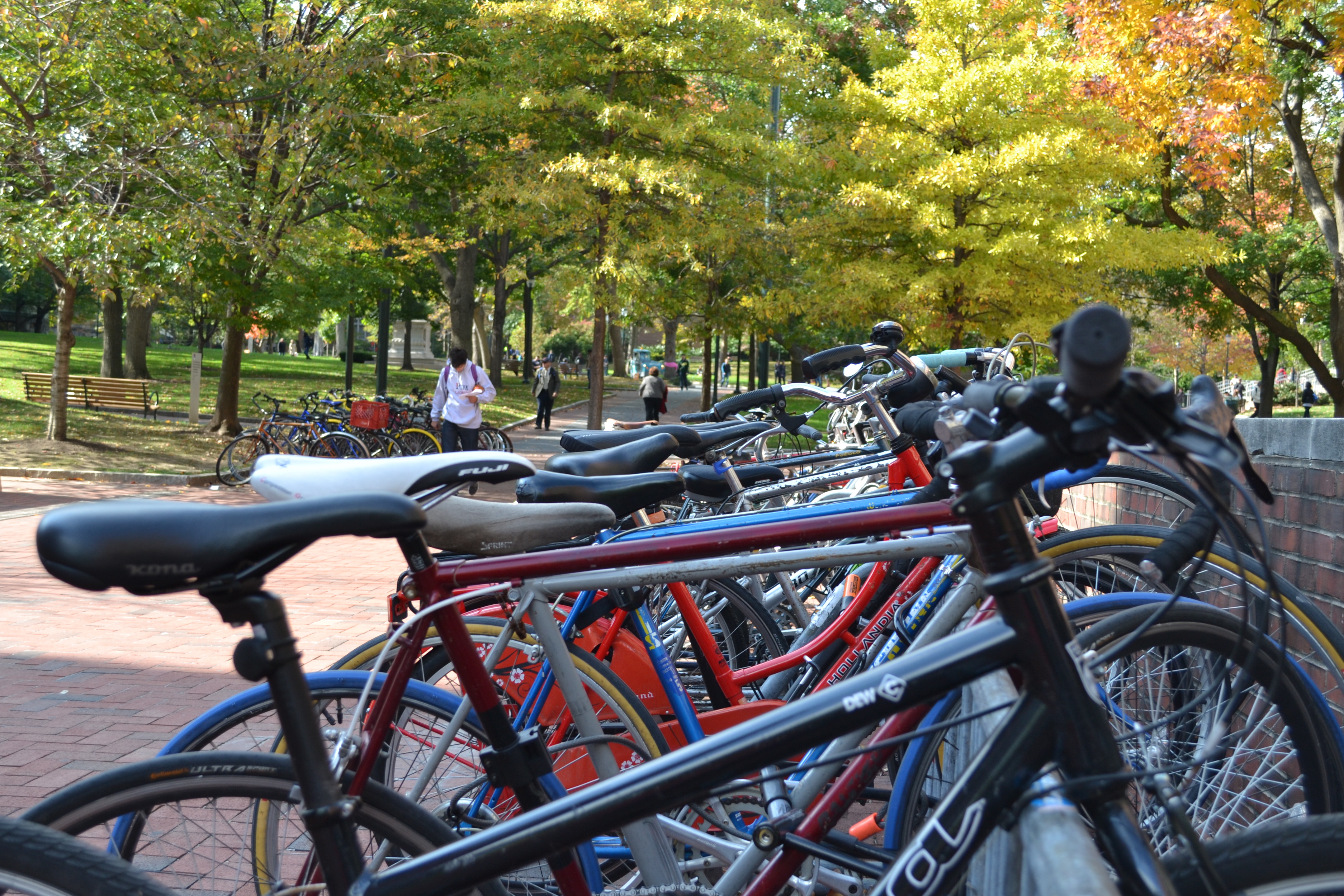 The University Bike Collective hopes to encourage more cycling throughout University City
