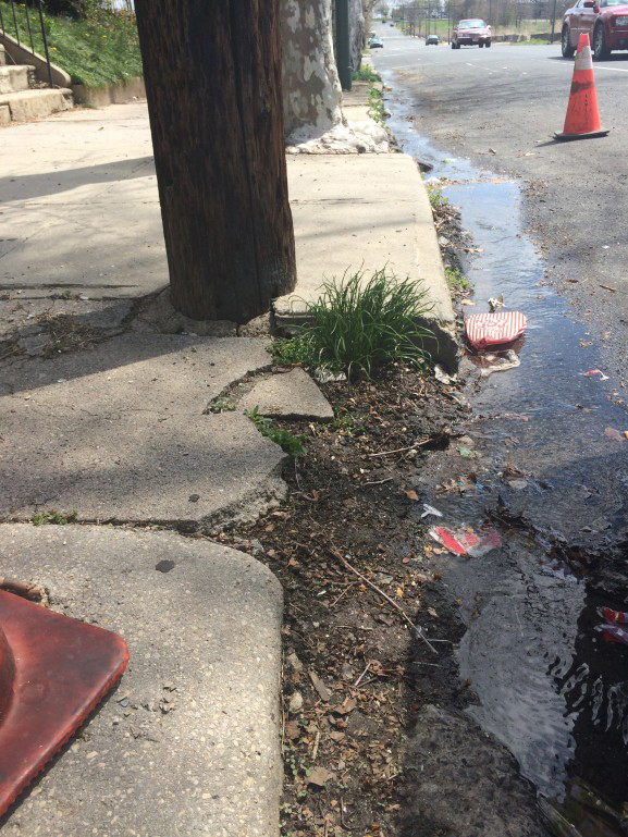 An unsolved water leak leaves this stream running down a curb in Logan.