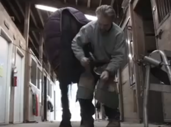 A journeyman farrier, Jon Weiler removes and replaces horse's shoes.