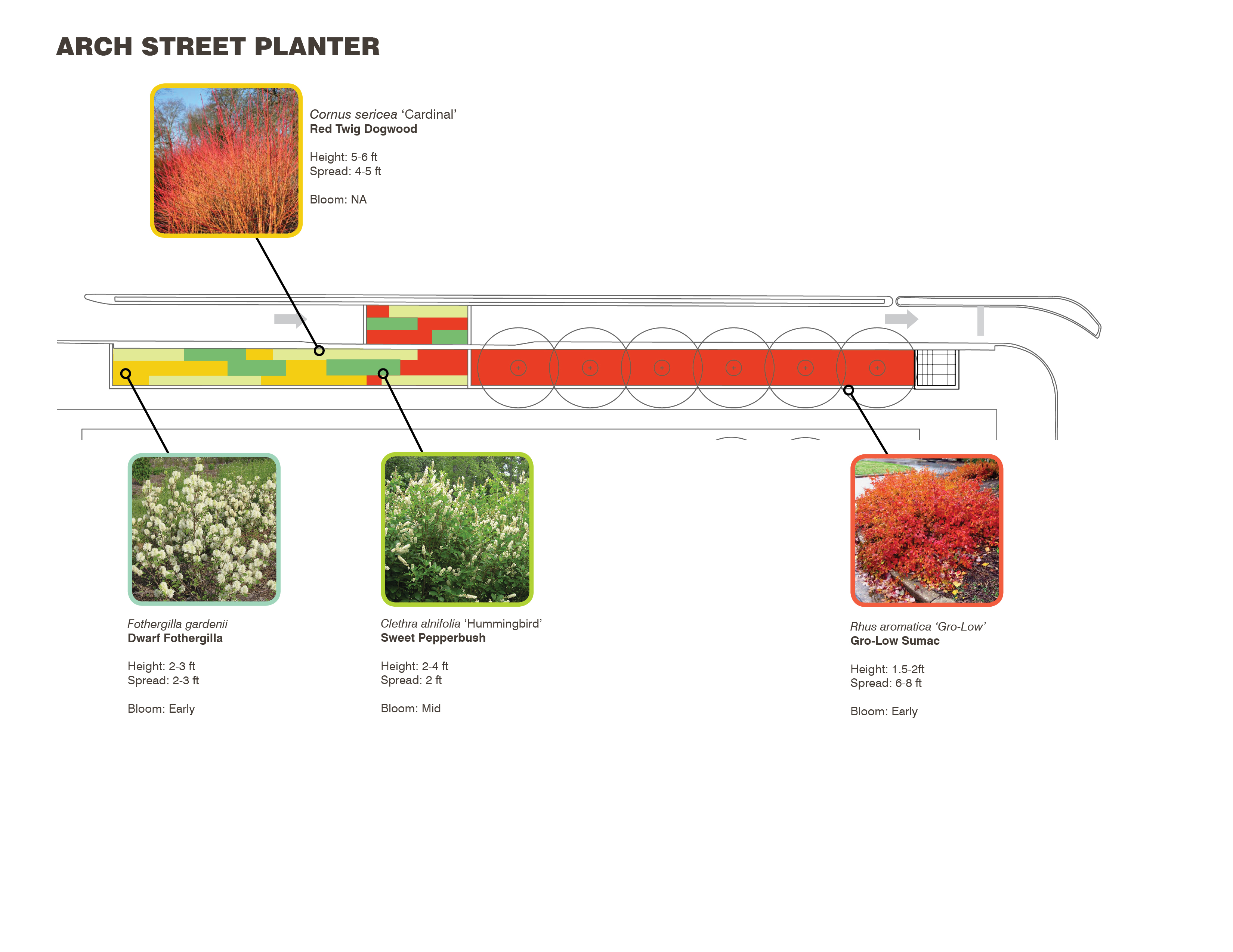 Arch Street planter plan, LOVE Park / JFK Plaza, October 2015 | Hargreaves